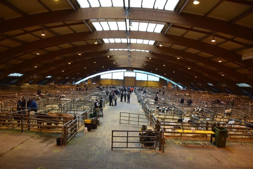 El-Ayuntamiento-de-Siero-modernizara-15-jaulas-del-Mercado-Nacional.jpg
