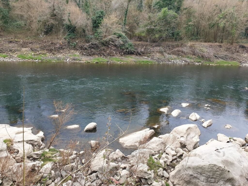 IU-Convocatoria-pide-colaboracion-entre-administraciones-tras-accidente-en-el-rio.jpg