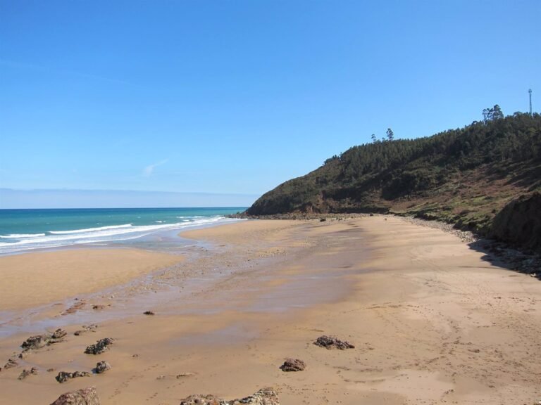 La-Universidad-de-Oviedo-difundira-mensajes-cientificos-en-playas-y.jpg