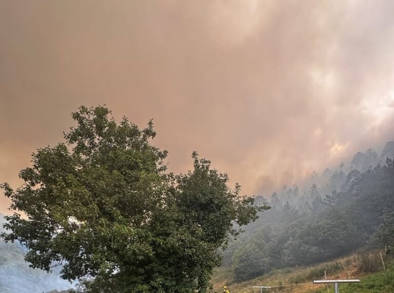 El-SEPA-controla-incendio-en-La-Zoreda-Villayon-y-trabaja.jpg