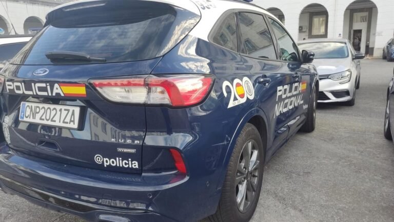 La-Policia-detiene-a-un-hombre-en-Gijon-por-danar.jpg