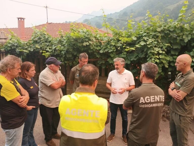 Los-incendios-han-disminuido-y-nos-enfocamos-en-la-seguridad.jpg