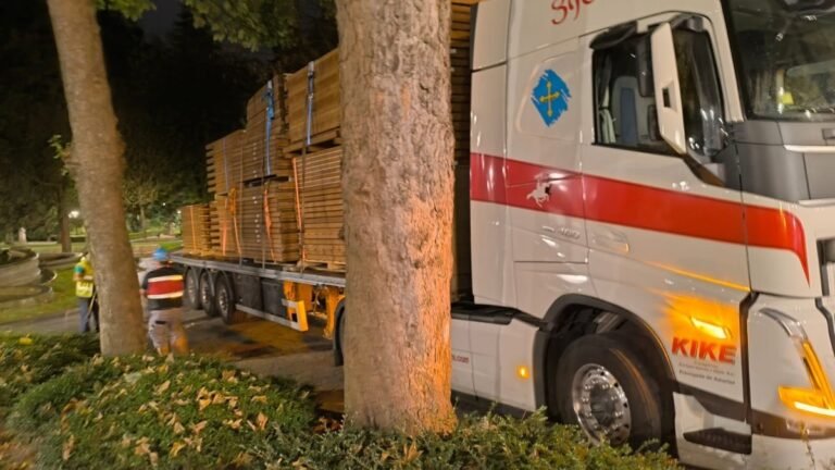 Vox-pide-limitar-entrada-de-vehiculos-de-gran-tonelaje-al.jpg