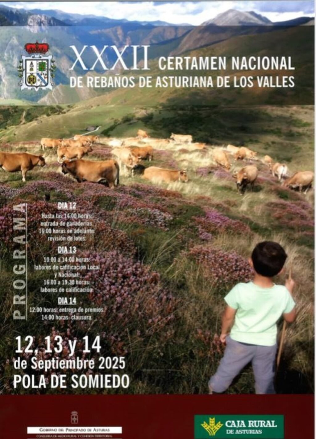 XXXII-Certamen-Nacional-de-Rebanos-de-Asturiana-de-los-Valles.jpg