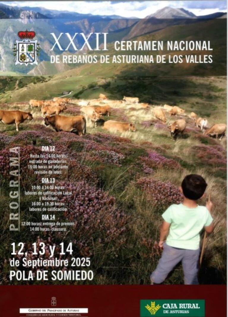 XXXII-Certamen-Nacional-de-Rebanos-de-Asturiana-de-los-Valles.jpg
