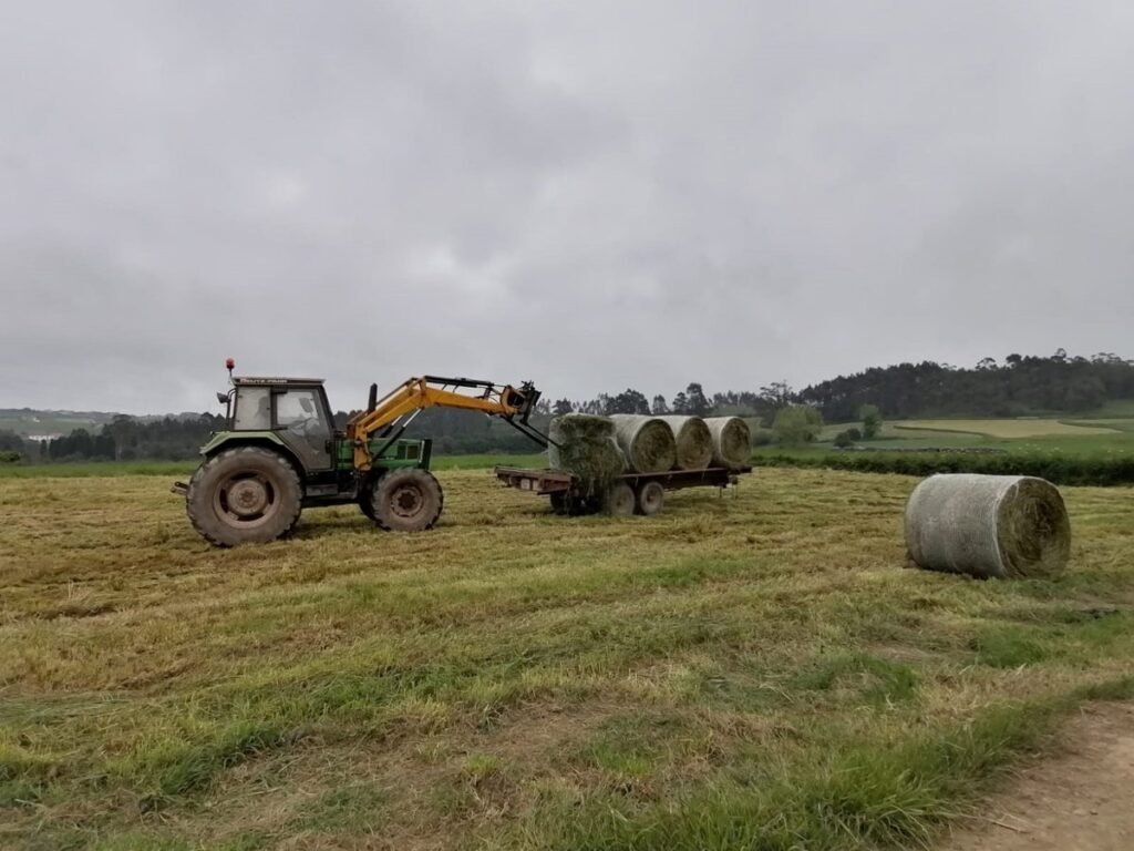 Bruselas-propone-escudo-para-proteger-agricultores-UE-ante-impacto-del.jpg