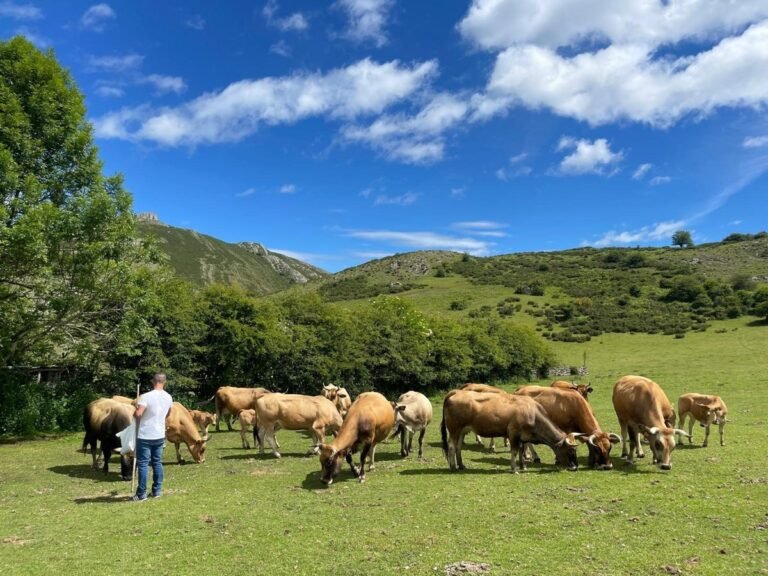 El-Gobierno-destina-74-millones-a-sanidad-animal-Asturias-recibira.jpg
