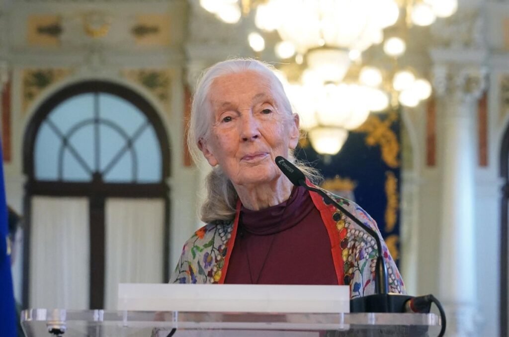 Muere-a-los-91-anos-Jane-Goodall-Premio-Principe-de.jpg