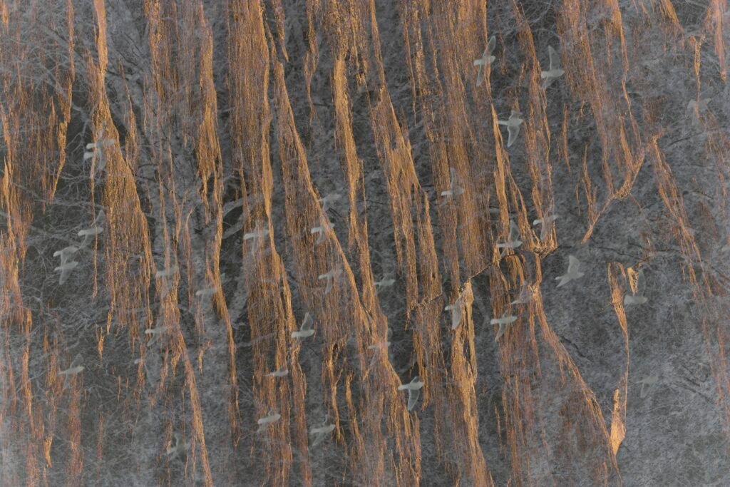 Una de las imágenes de la exposición