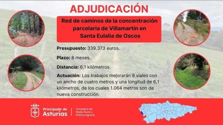 Construccion-de-red-de-caminos-en-Villamartin-por-339000-euros.jpg