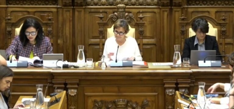 El-Pleno-aprueba-mayor-control-en-zonas-peatonales-y-cierres.jpg